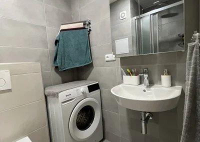 Rekonstrukce koupelny v Plzni na Lochotíně