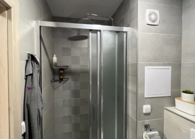 Rekonstrukce koupelny v Plzni na Lochotíně