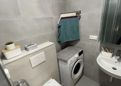 Rekonstrukce koupelny v Plzni na Lochotíně