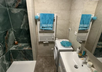 Rekonstrukce koupelny v Újezdu v Plzni